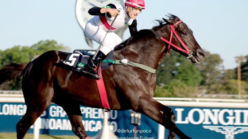 Ratificación de resultados LONGINES GRAN PREMIO LATINOAMERICANO Y LONGINES CUP 2023