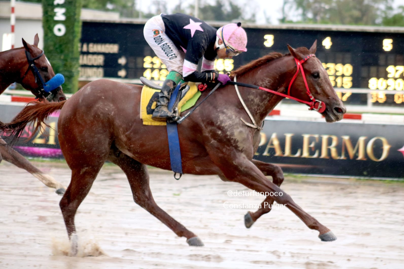 Se vivió la pasión del Turf del Interior en el Hipódromo de Palermo