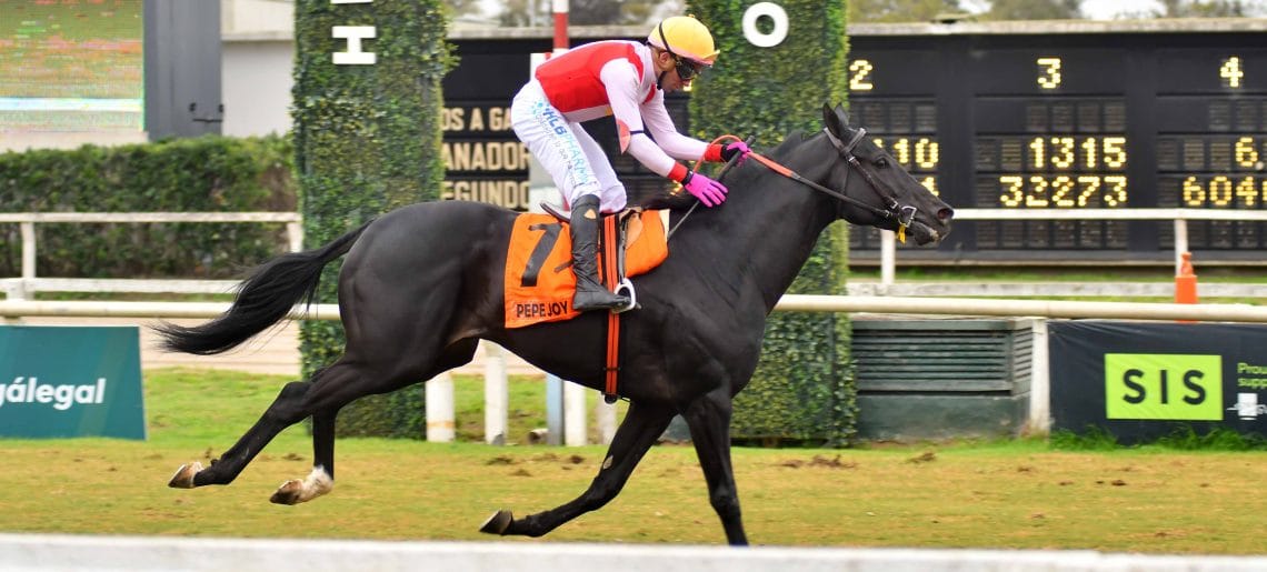 Pepe Joy nominado por el Jockey Club para el GP Latinoamericano 2024