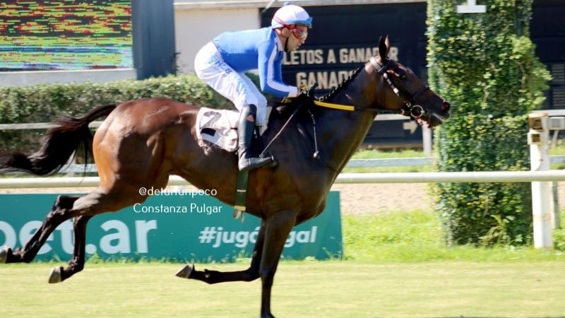 Inscriptos para los Grandes Premios Gilberto Lerena (G1) y De Honor (G1)