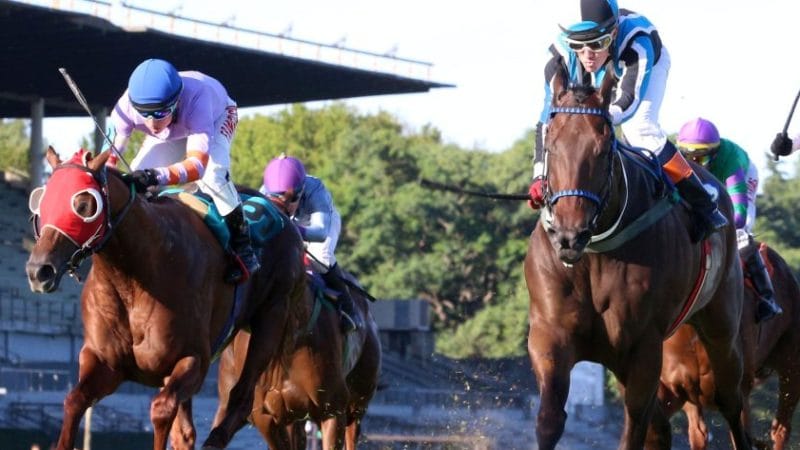 London Boy crece carrera tras carrera