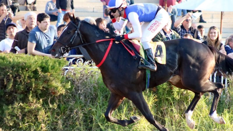 CORAJE GAUCHO y MARSHAL PATROLL protagonizaron «Un día en las carreras» en el Hipódromo de Palermo