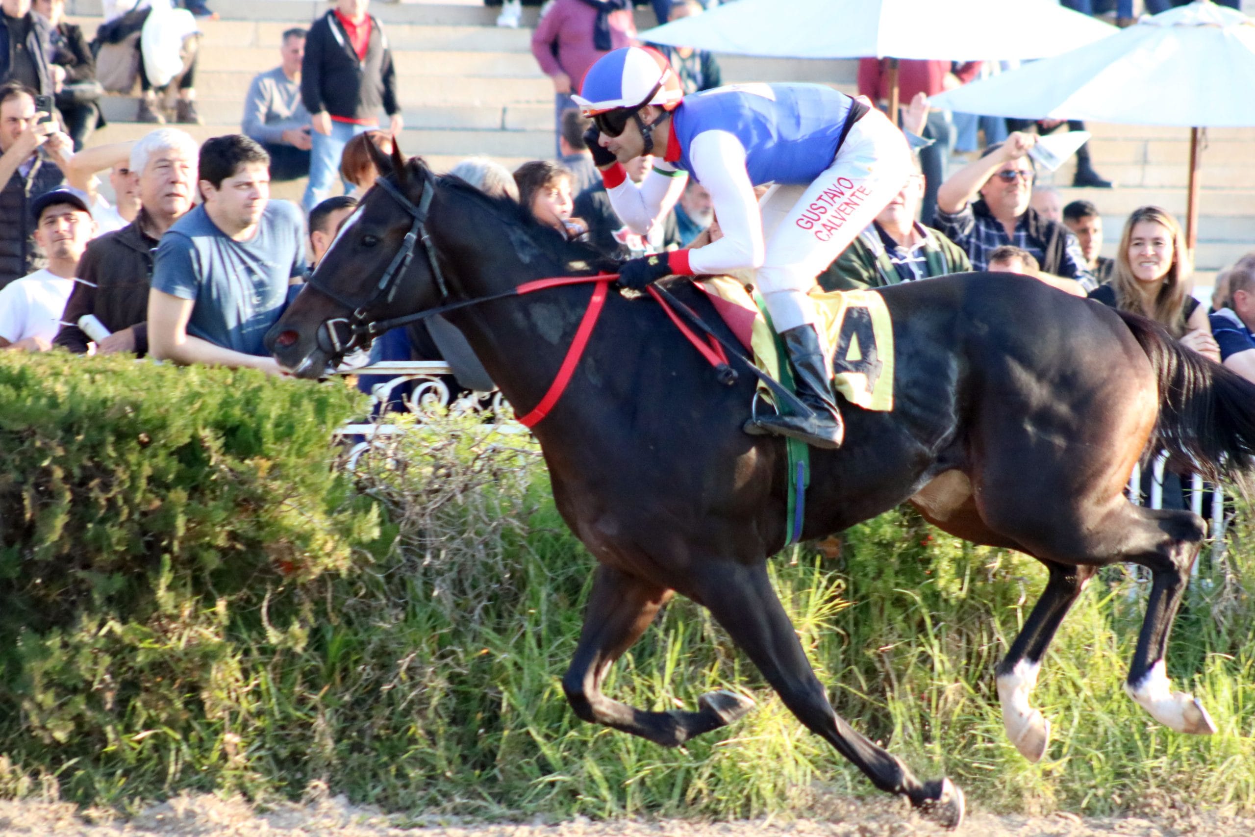 CORAJE GAUCHO y MARSHAL PATROLL protagonizaron «Un día en las carreras» en el Hipódromo de Palermo