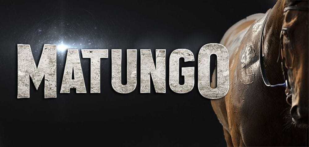 ¿De que trata MATUNGO? – Sintesis de los 6 episodios
