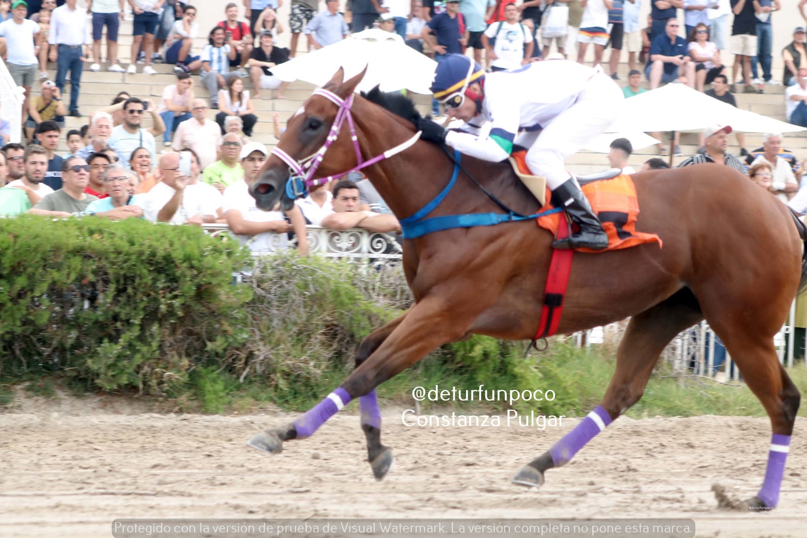 LAKKA se impuso en el Súper Encuentro Provincial durante un día en las carreras en el Hipódromo de Palermo