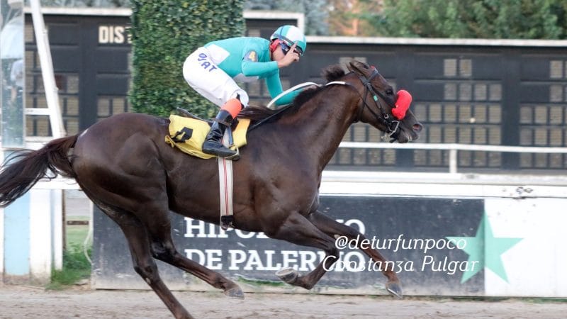 El ÉXITO se destacó durante «Un día en las carreras» que tuvo incrementos sorpresa a ganador y mayores garantizados en Palermo