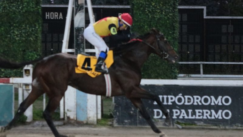 CENIZA PAMPA Y CRAZY TALENT brillaron en los Grupo 1 de «Un día en las carreras» en el Hipódromo de Palermo