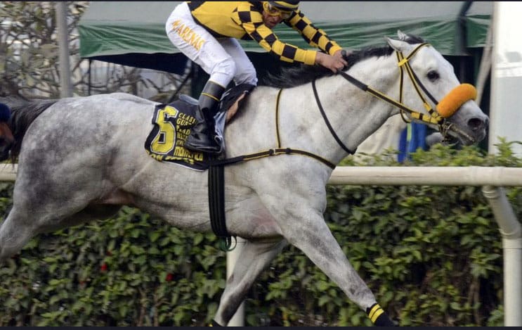Trece inscriptos en el Gran Premio 25 de Mayo