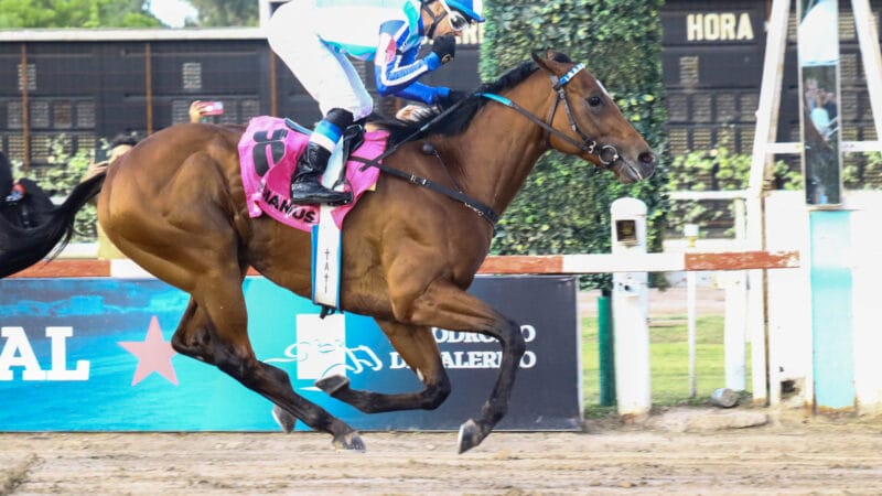 GORDIANUS brilló en el GRAN PREMIO NACIONAL (G1)